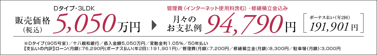 Dタイプ支払い例